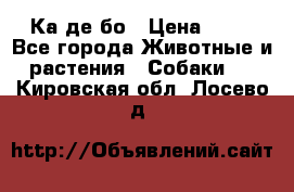 Ка де бо › Цена ­ 25 - Все города Животные и растения » Собаки   . Кировская обл.,Лосево д.